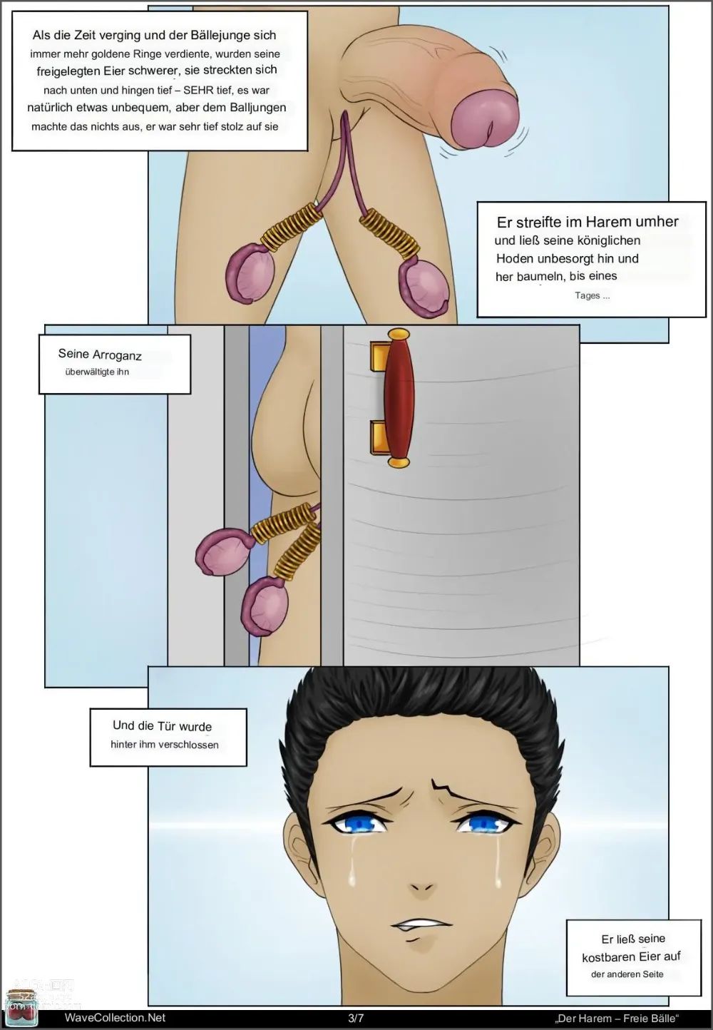 Page 27 of doujinshi WaveCollection - castration comics / Kastrationscomics