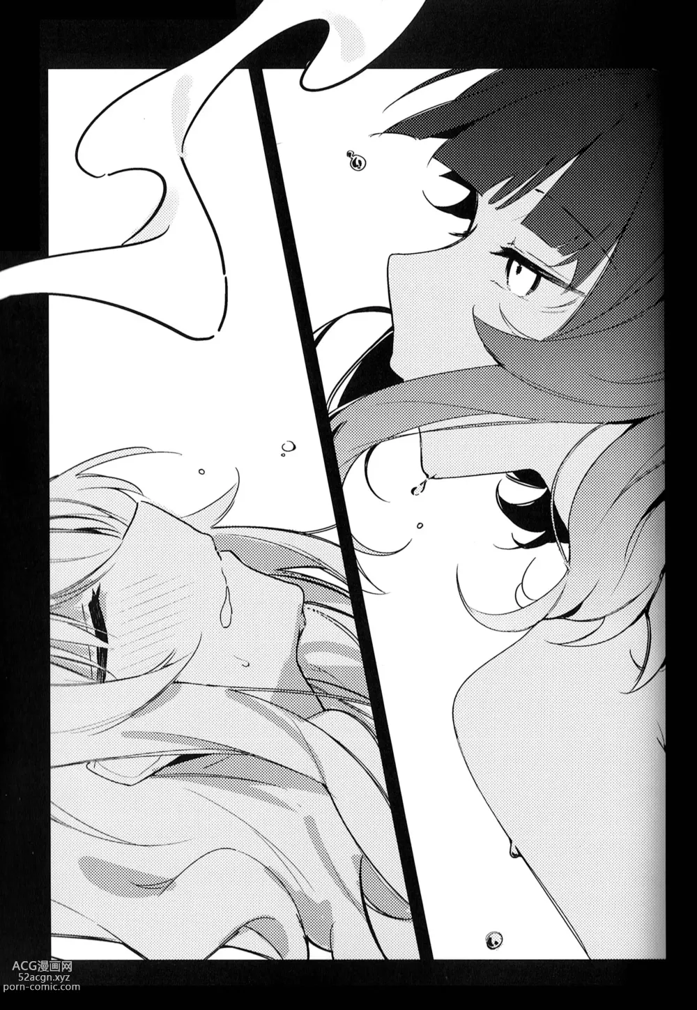 Page 13 of doujinshi MIRROR