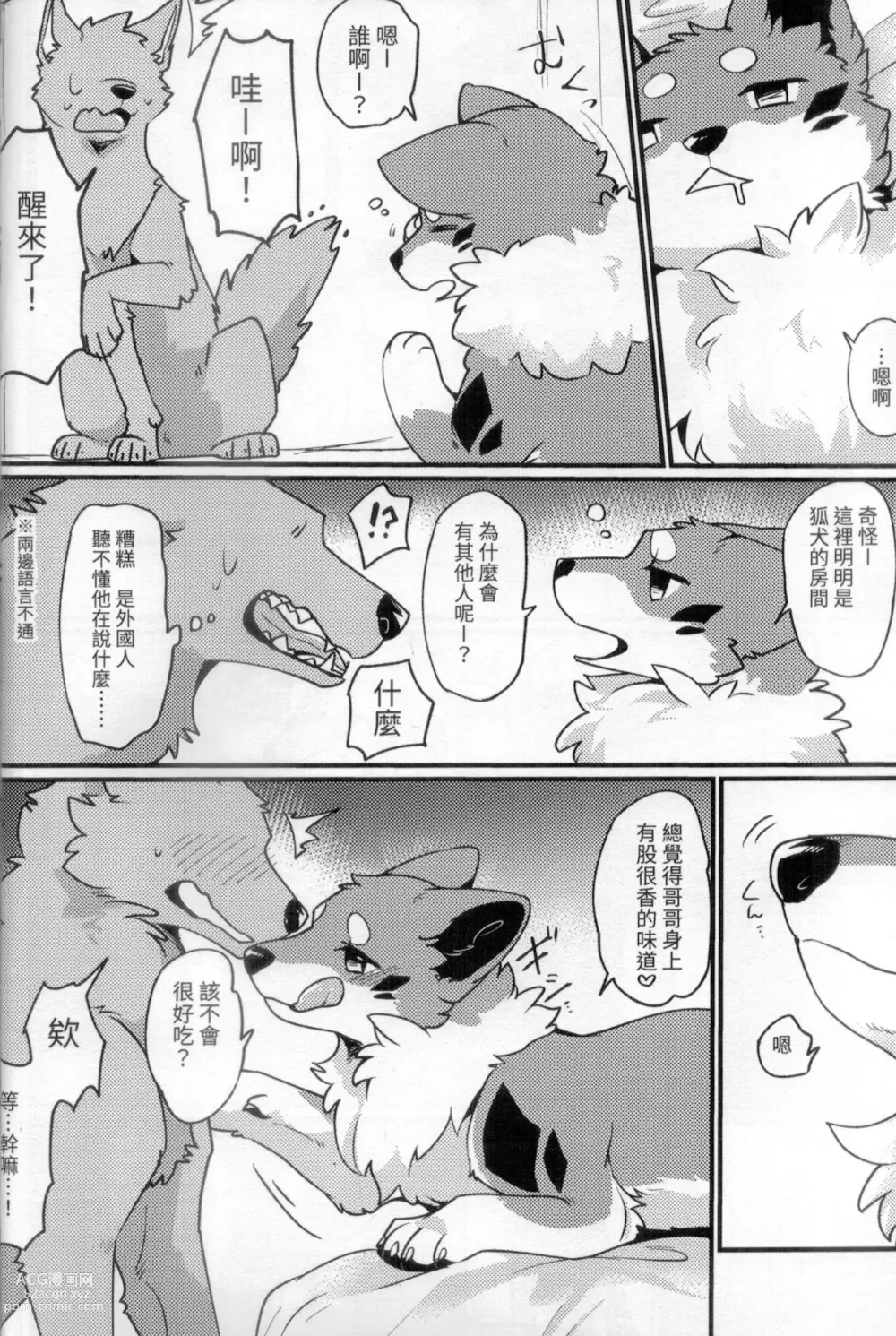 Page 7 of doujinshi 狐犬台灣美食旅