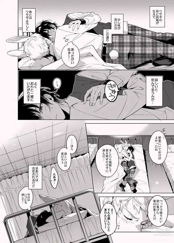 Page 5 of doujinshi Ore no Usa-chan