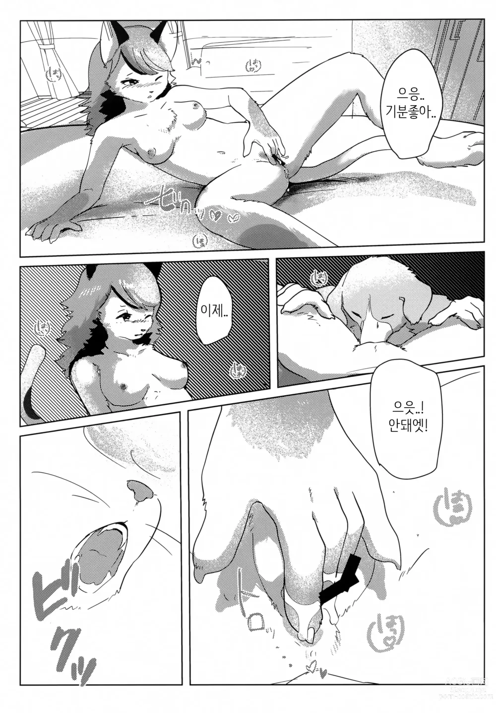 Page 12 of doujinshi 하지만 리트리버 선배를 좋아하고 있는걸!