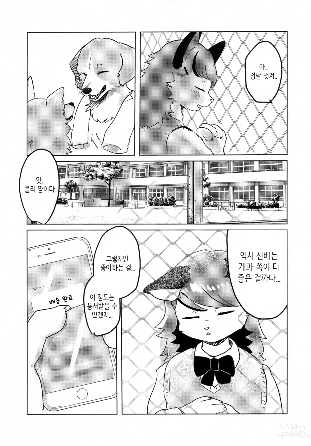 Page 4 of doujinshi 하지만 리트리버 선배를 좋아하고 있는걸!