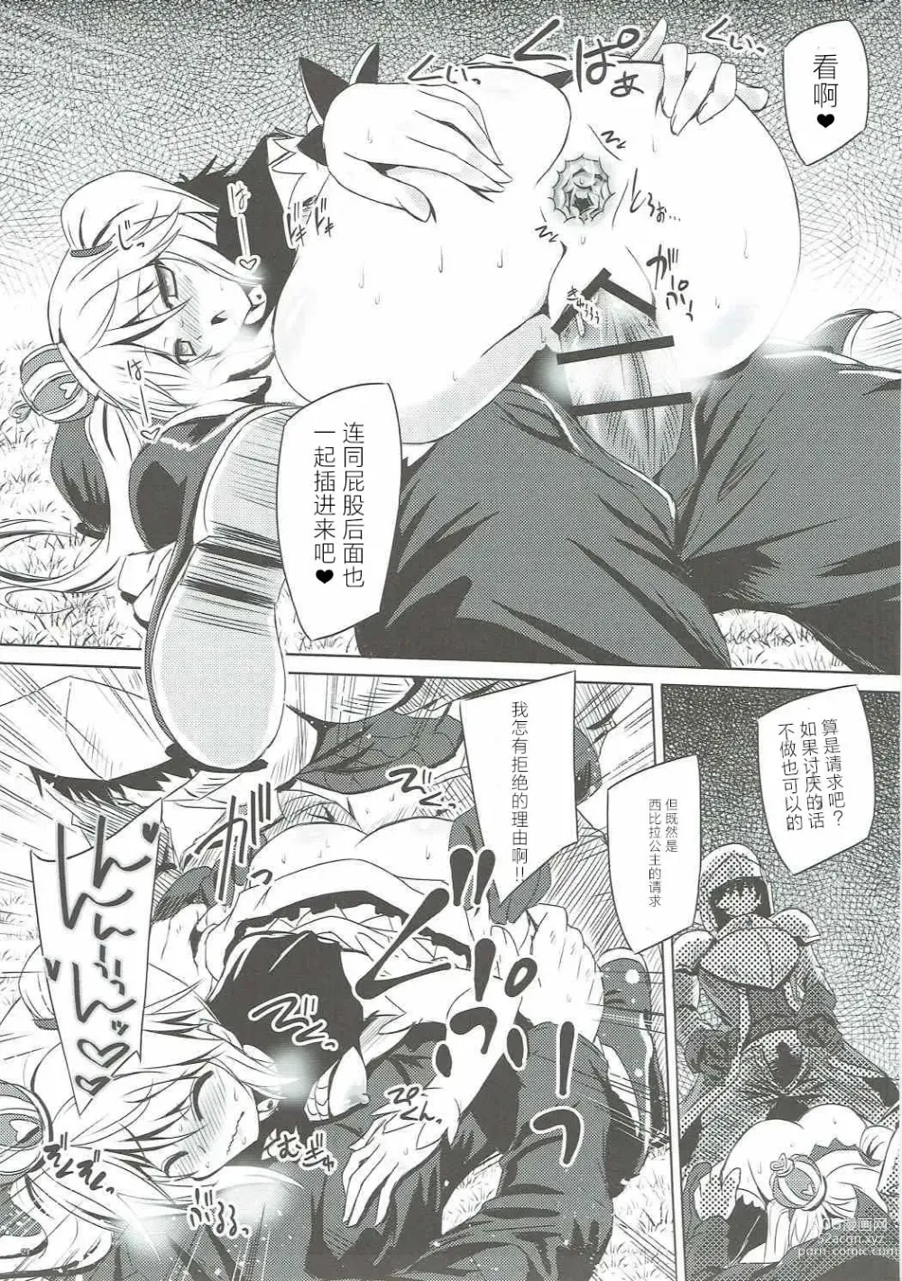 Page 20 of doujinshi 于暗夜徘徊的王国公主