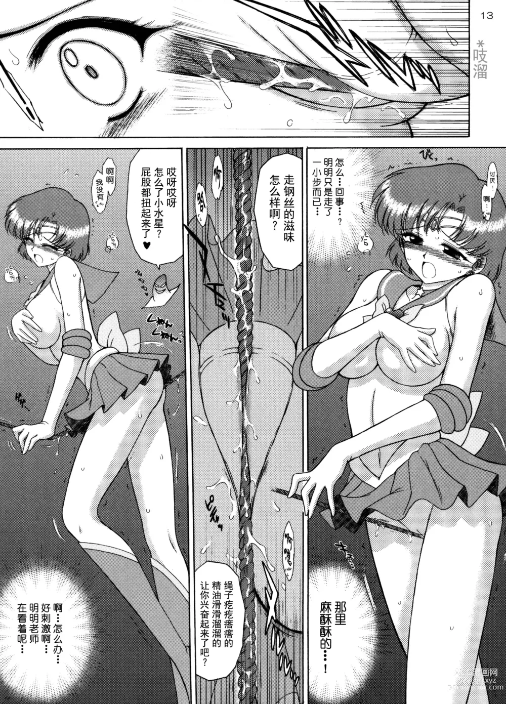 Page 13 of doujinshi 美少女战士 嗨飞天外