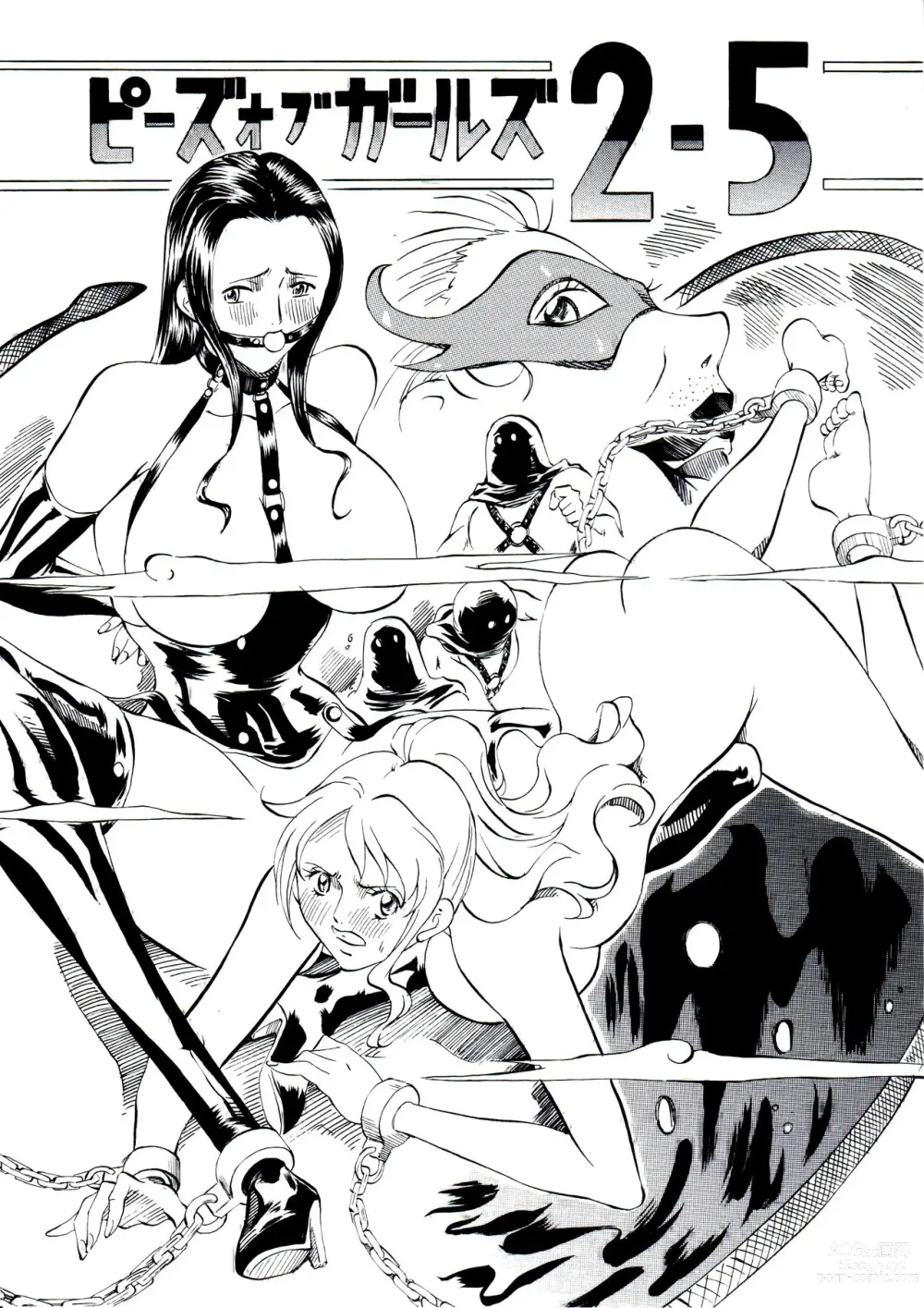 Page 1 of doujinshi Piece of Girls 2.5