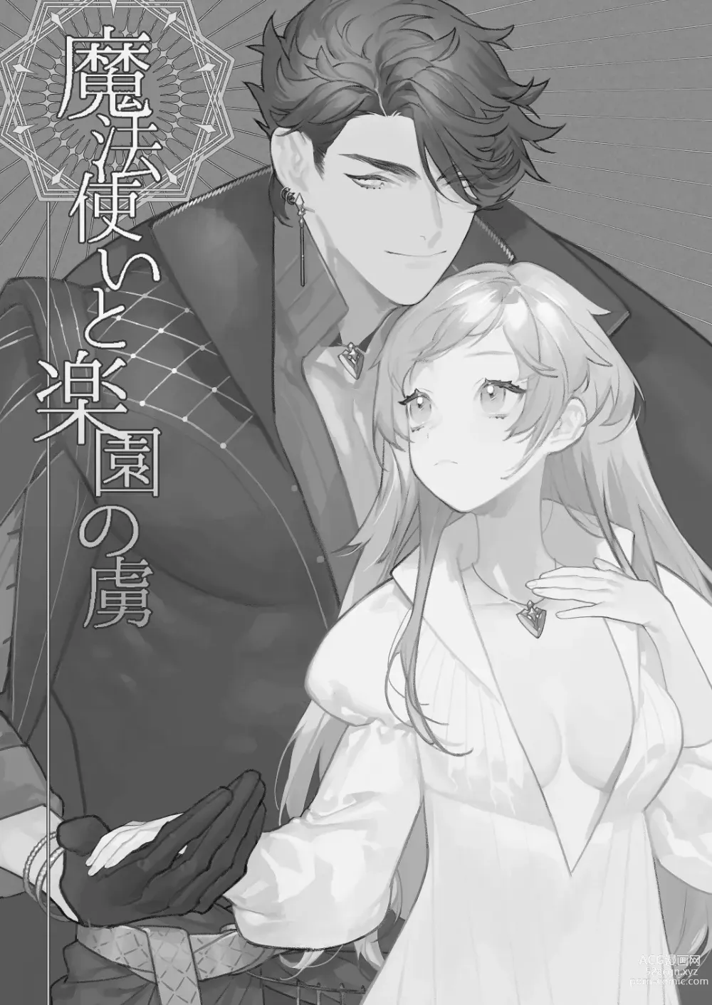 Page 2 of doujinshi 魔法使与乐园的俘虏