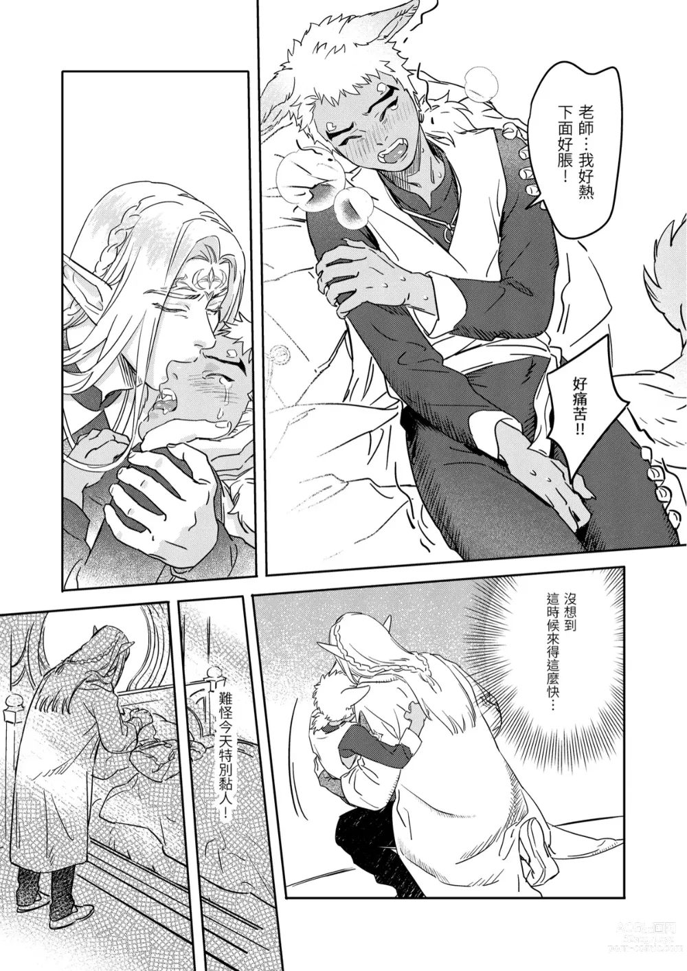 Page 15 of doujinshi 精靈與半獸人