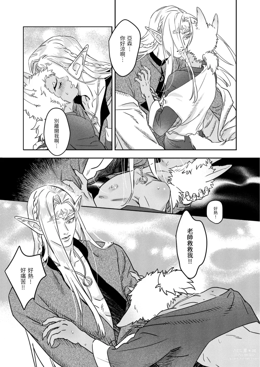 Page 17 of doujinshi 精靈與半獸人