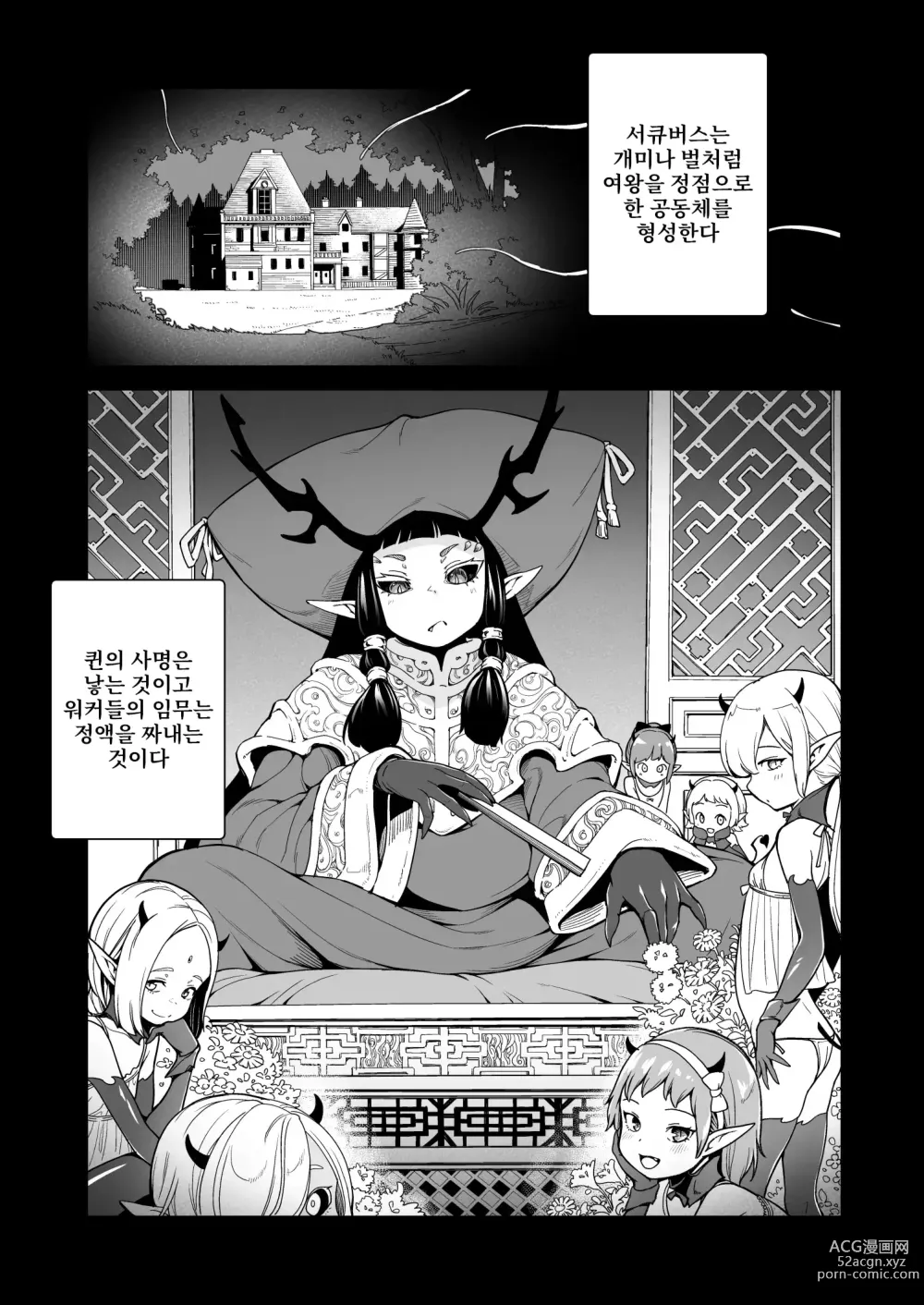 Page 2 of doujinshi 이세계 캐러딘의 서큐버스 습격
