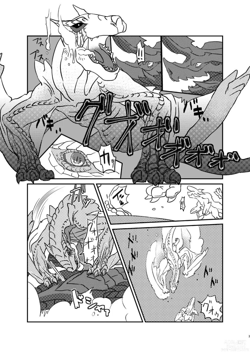 Page 3 of doujinshi 轰龙♂×碎龙♂