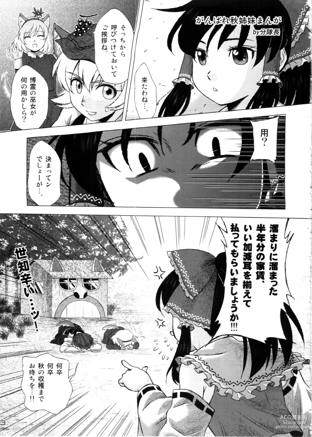 Page 3 of doujinshi Touhou PLUMFUR 4