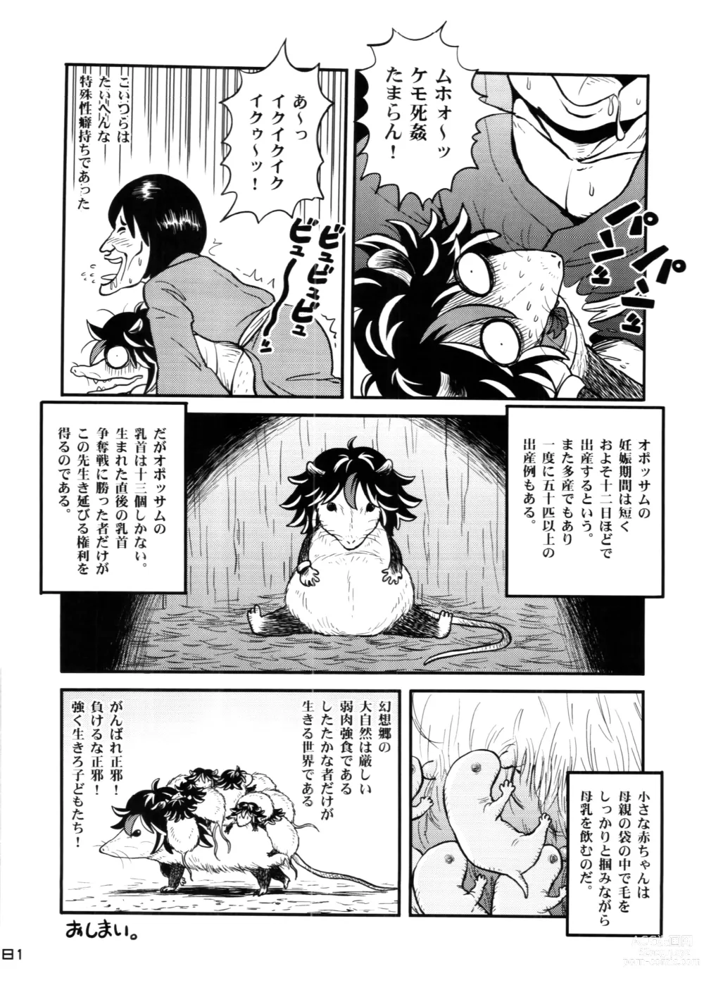 Page 81 of doujinshi Touhou PLUMFUR 4
