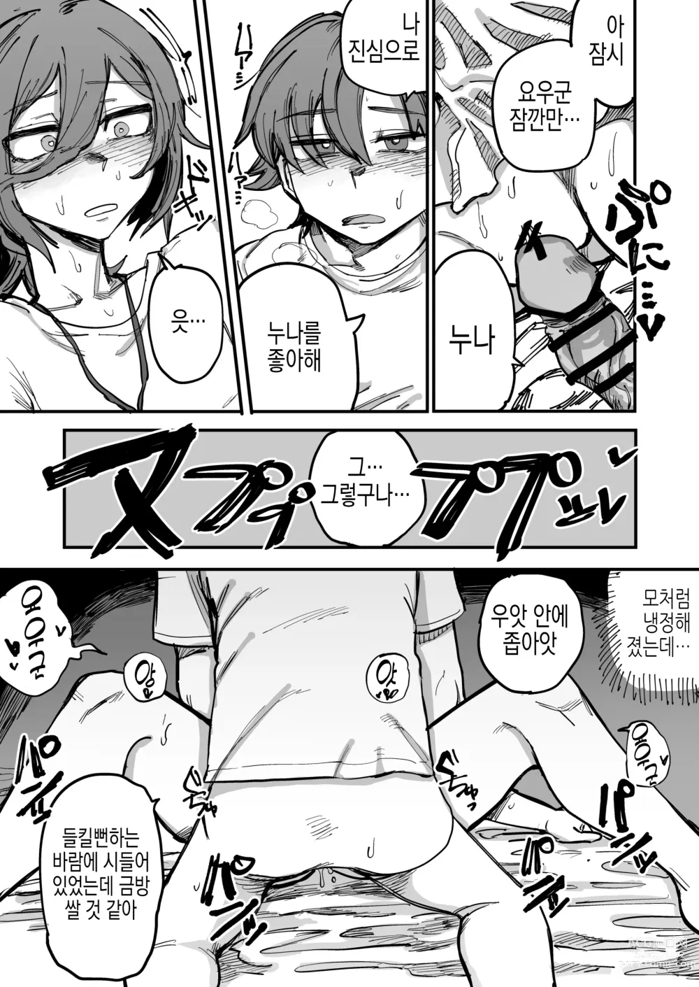 Page 22 of doujinshi 누나가 연인이 되기까지