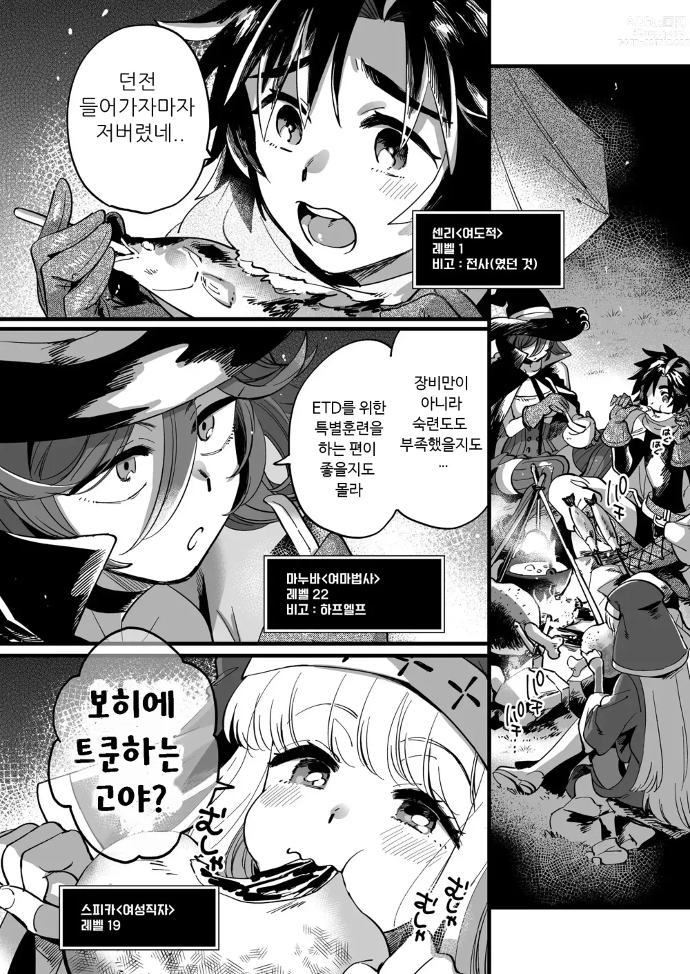 Page 4 of doujinshi Nakayoshi Onna Boukensha wa Yoru ni Naru to Yadoya de Mechakucha Ecchi Suru｜사이좋은 여자모험가는 비밀의 특훈을 하고 있는 것 같다