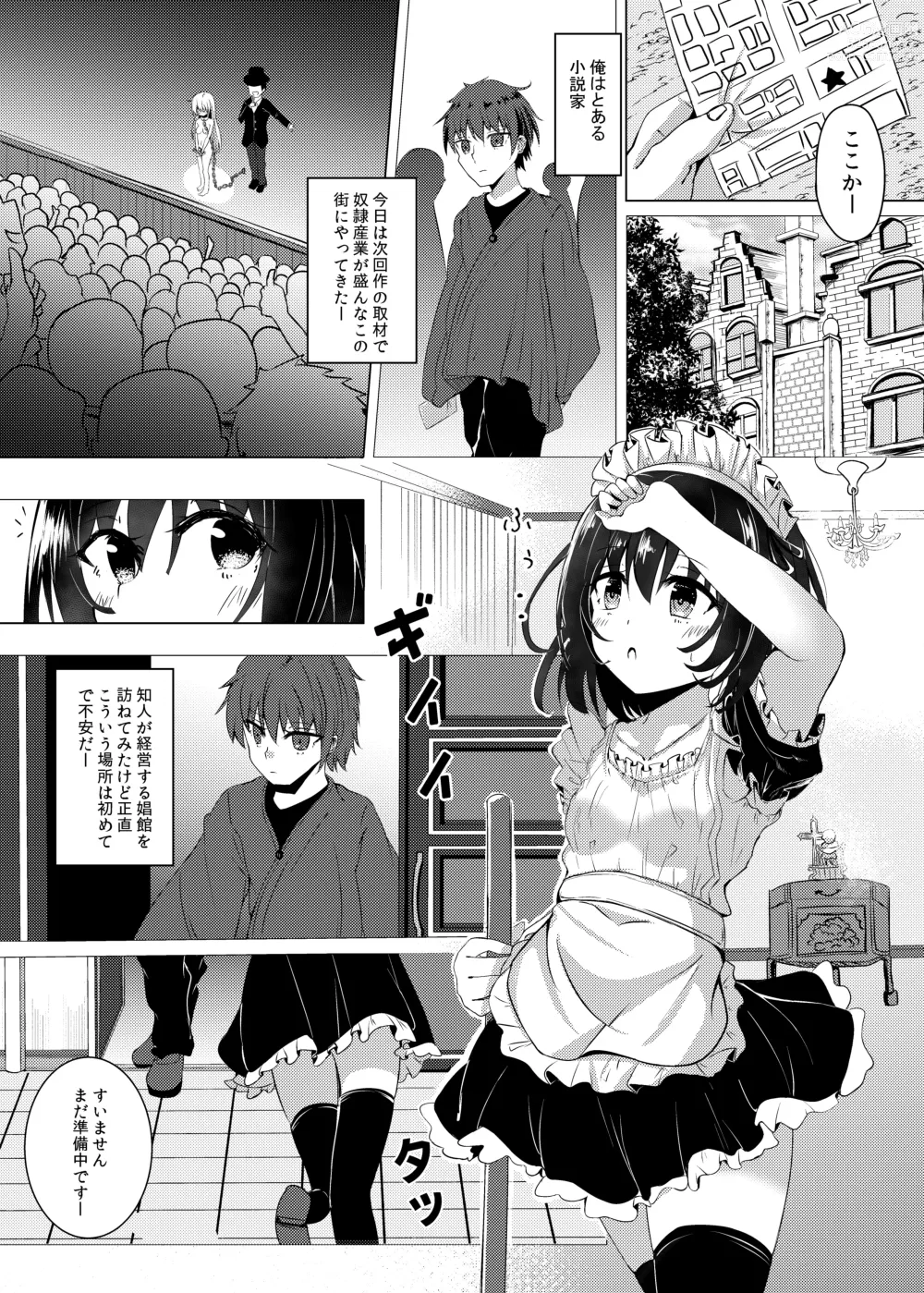Page 2 of doujinshi Dorei Shoufu no Nichijou