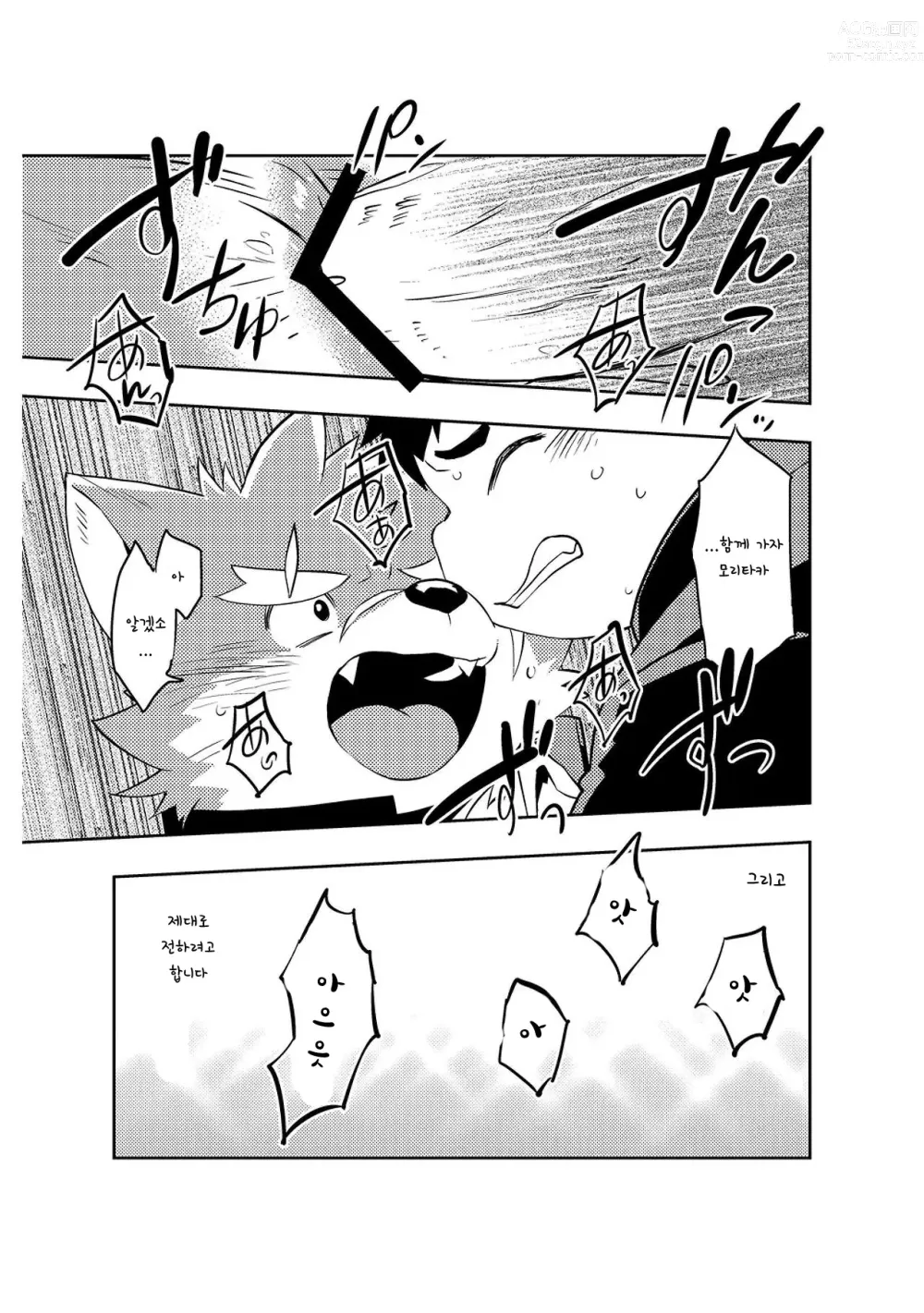 Page 28 of doujinshi 사랑해라 모리타카