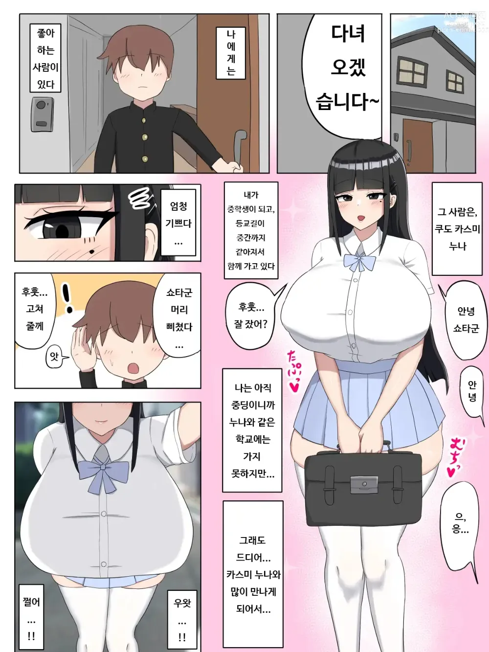 Page 3 of doujinshi 내가 좋아하는 누나는...