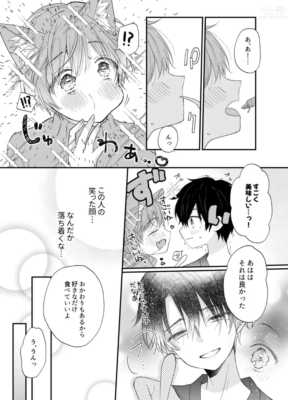 Page 6 of doujinshi Suterareta Kemonohito ga Hirowarete mesuka Choukyou de Pet ni naru hanashi