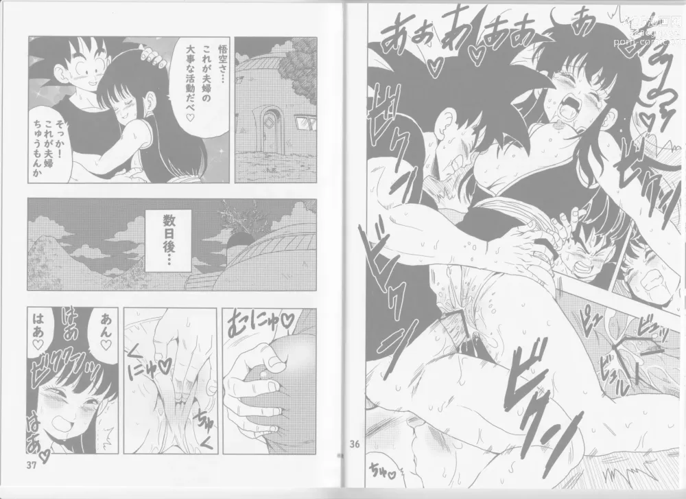 Page 27 of doujinshi Chichi to Goku