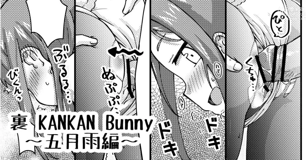 Page 1 of doujinshi Ura KANKAN Bunny ~Samidare Hen~
