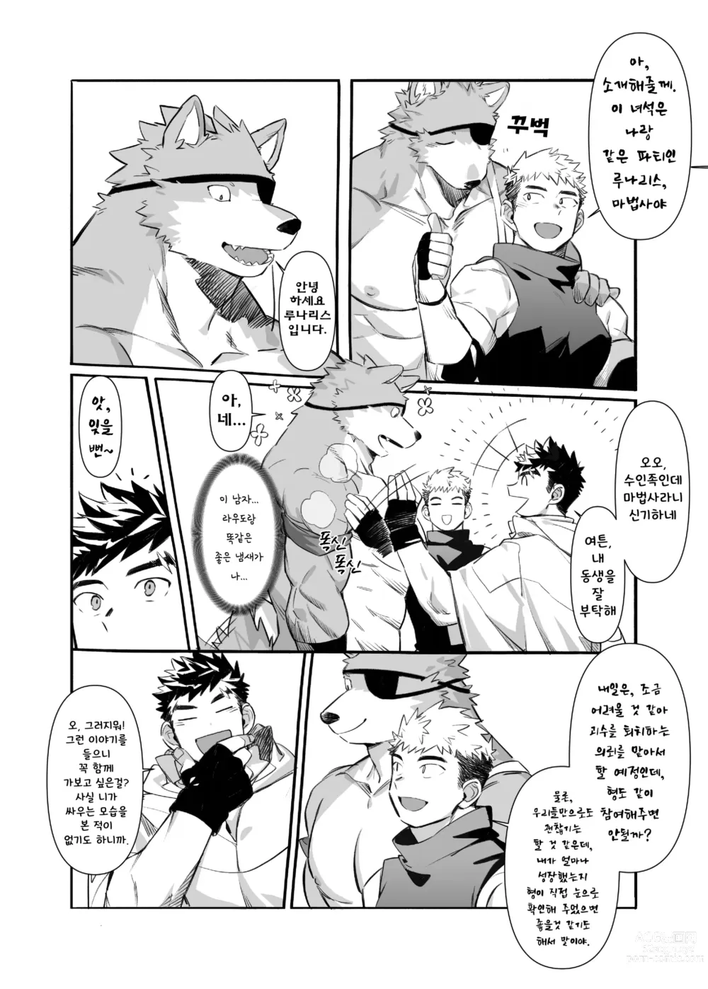Page 3 of doujinshi Bros. in Heat