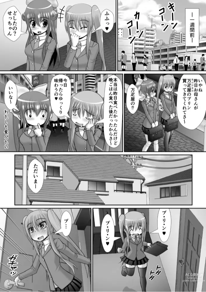 Page 5 of doujinshi Chitsu Hakai-kei Joshi 6