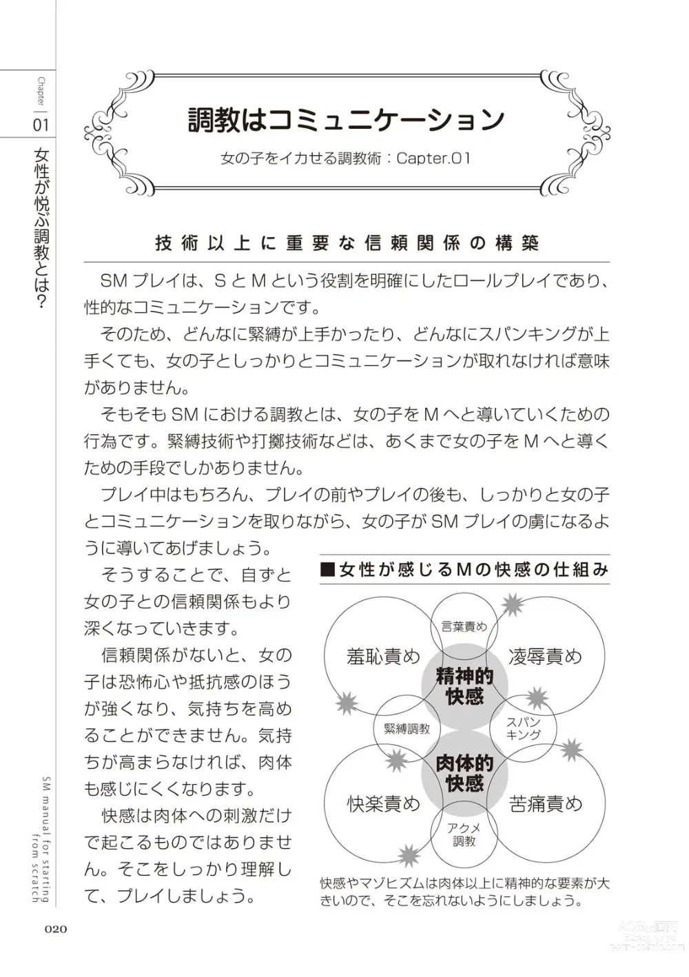 Page 22 of manga Zero kara Hajimeru SM Manual Onnanoko o Ikaseru Choukyoujutsu