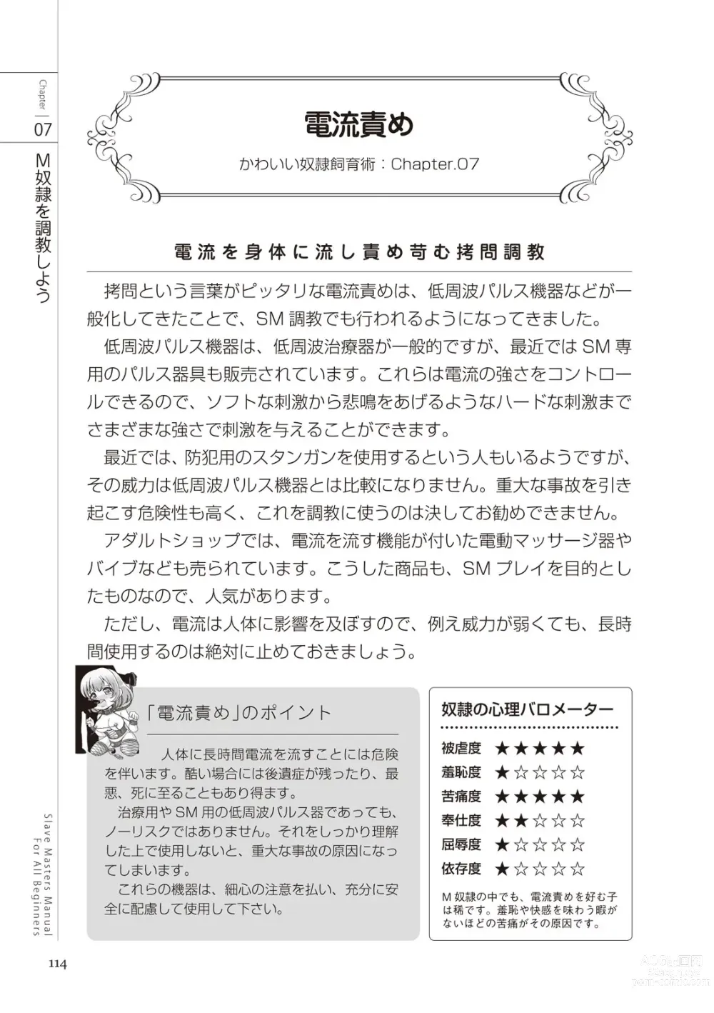 Page 114 of manga Zero kara Hajimeru SM Manual Kawaii Dorei Shiikujutsu