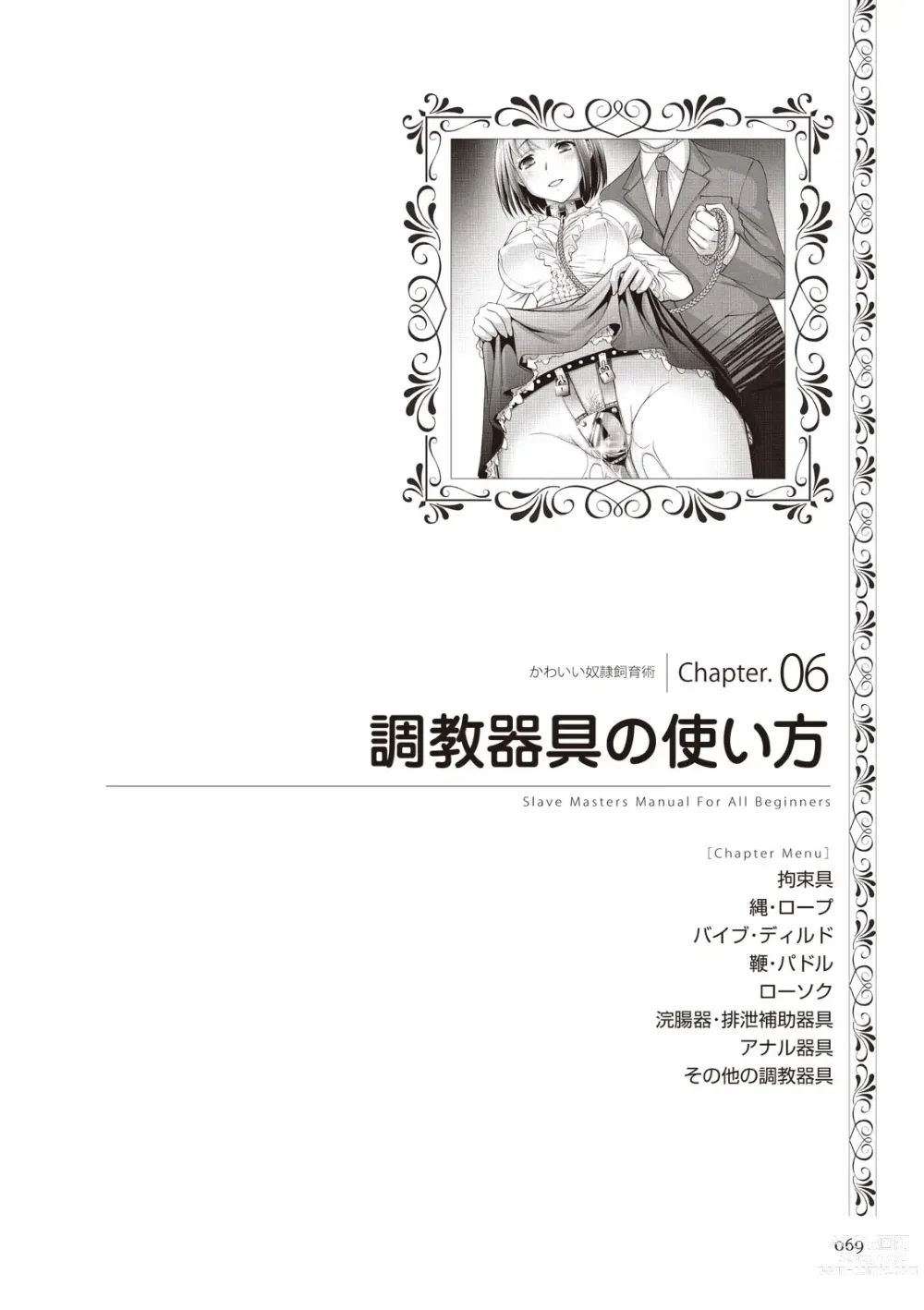 Page 69 of manga Zero kara Hajimeru SM Manual Kawaii Dorei Shiikujutsu