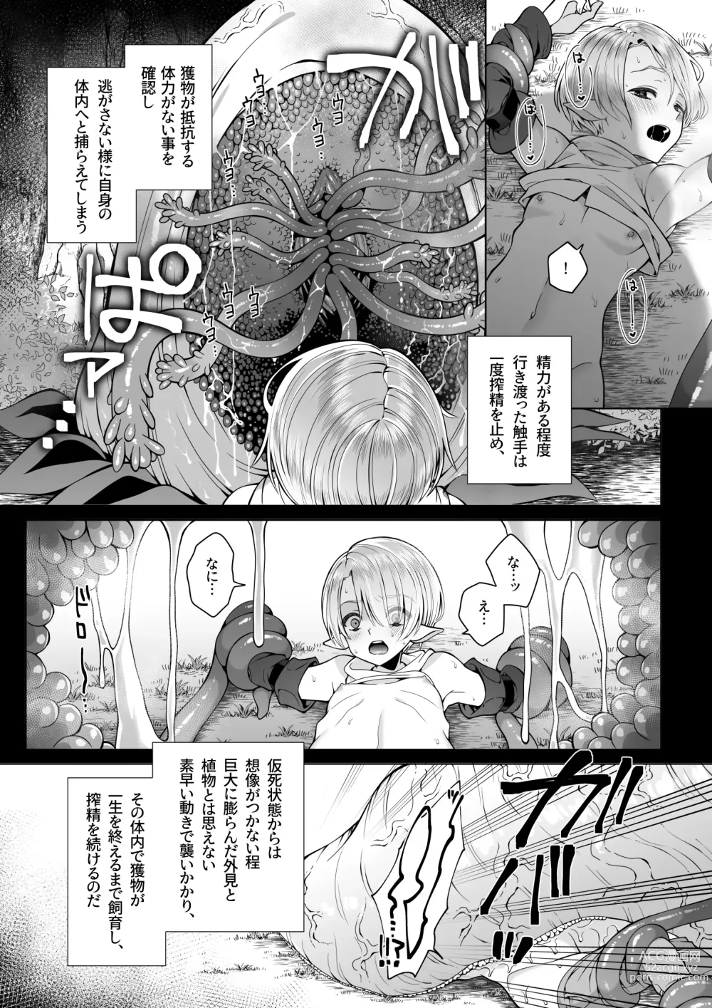 Page 16 of doujinshi Futago Elf no junan