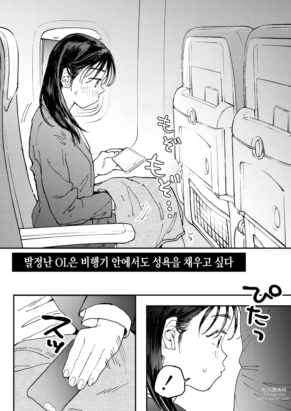 Page 5 of doujinshi 발정난 OL은 비행기 안에서도 성욕을 채우고 싶다