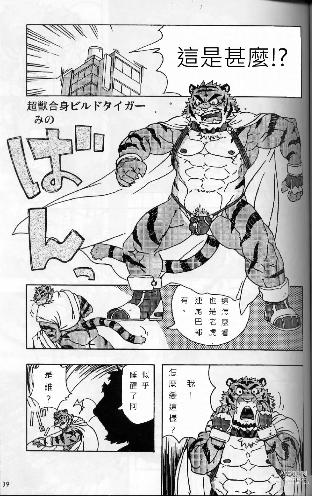 Page 2 of doujinshi Choujuu Gasshin Build Tiger