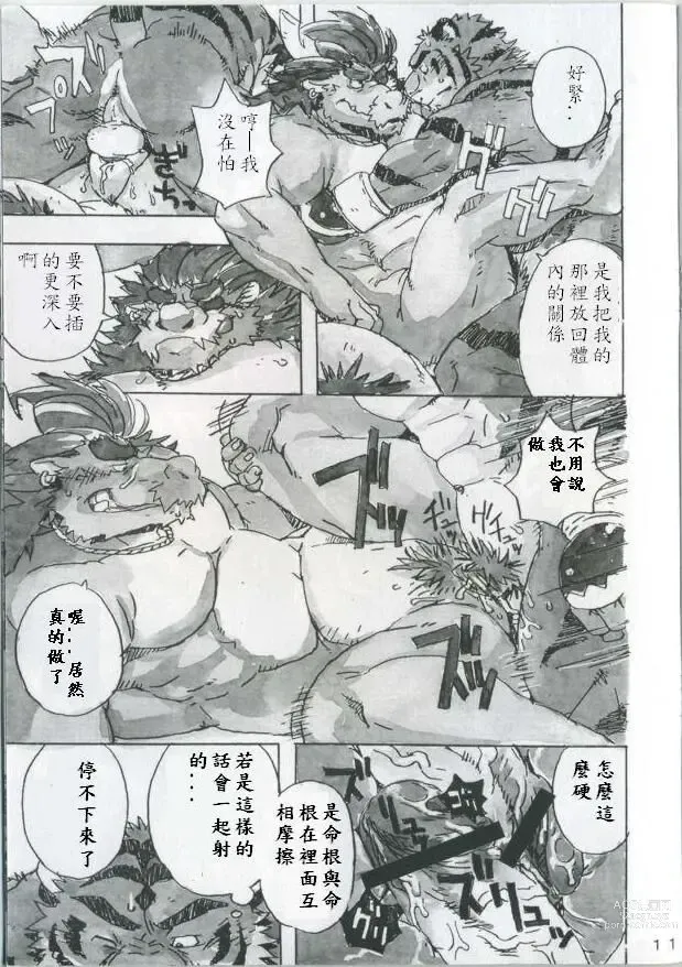 Page 12 of doujinshi Choujuu Gasshin Build Tiger 4