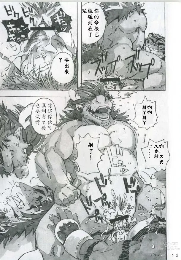 Page 14 of doujinshi Choujuu Gasshin Build Tiger 4