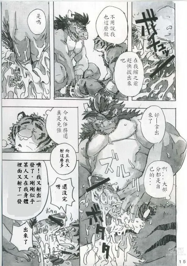 Page 16 of doujinshi Choujuu Gasshin Build Tiger 4