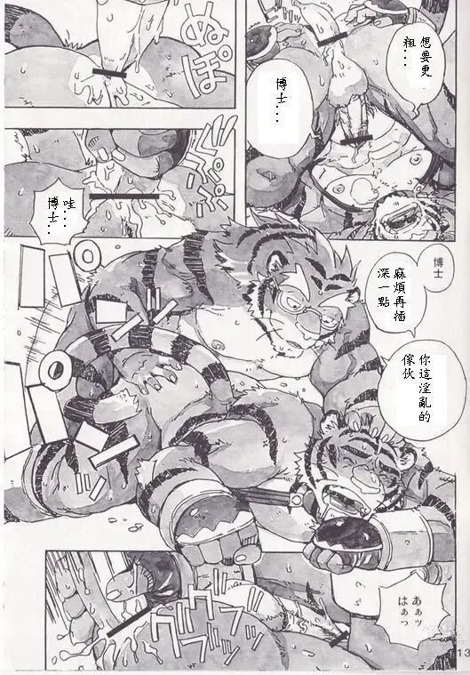 Page 14 of doujinshi Choujuu Gasshin Build Tiger 5