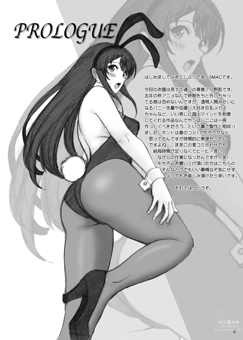 Page 4 of doujinshi Seishun Bunny Senpai wa Hadaka Haikai no Yume o Minai