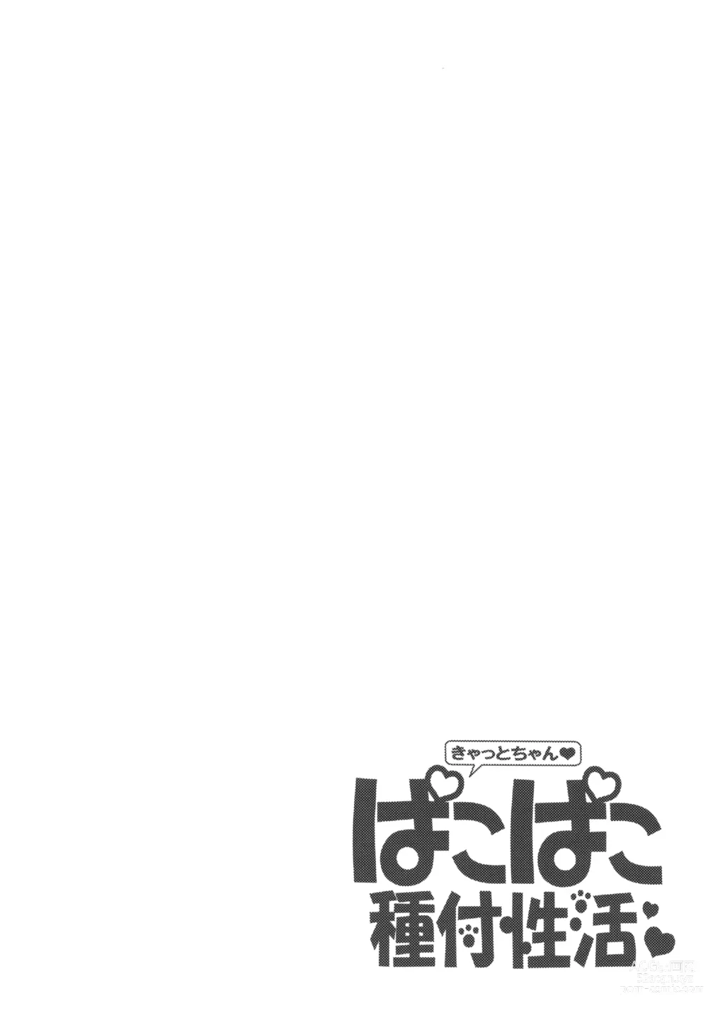 Page 3 of doujinshi Cat-chan Pakopako Tanetsuke Seikatsu
