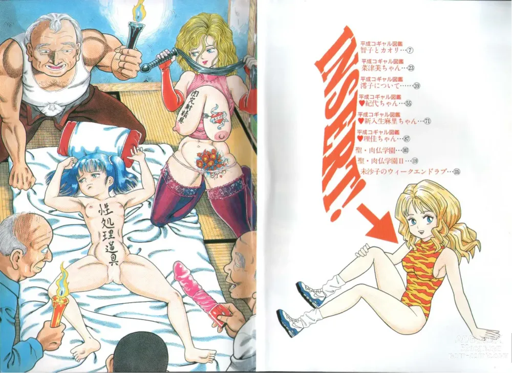Page 3 of manga Irechae! - Insert!