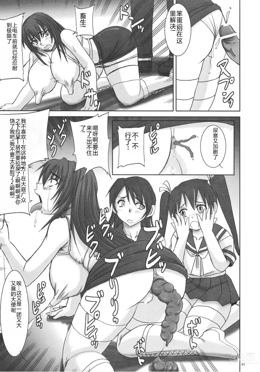 Page 30 of doujinshi Kyouhime-sama wa Nikubenki