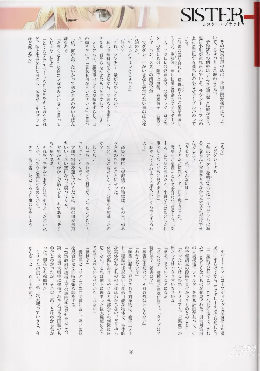Page 29 of doujinshi Tony MAGAZINE 08