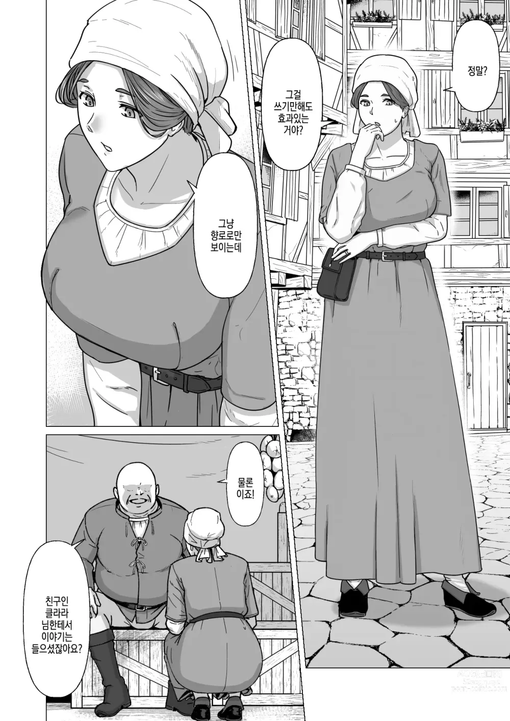 Page 5 of doujinshi 행상인 디루크와 마법의 향로