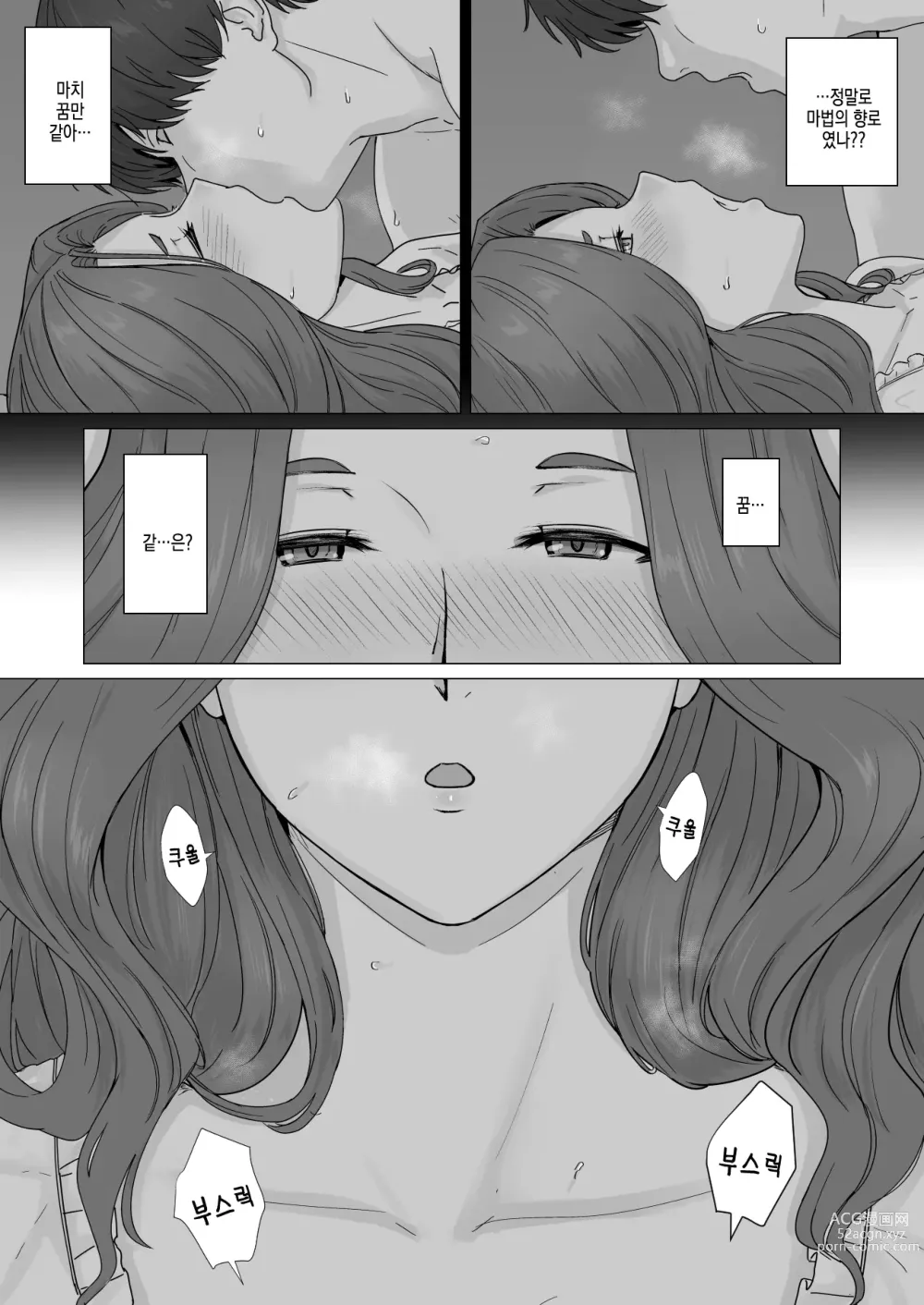 Page 10 of doujinshi 행상인 디루크와 마법의 향로