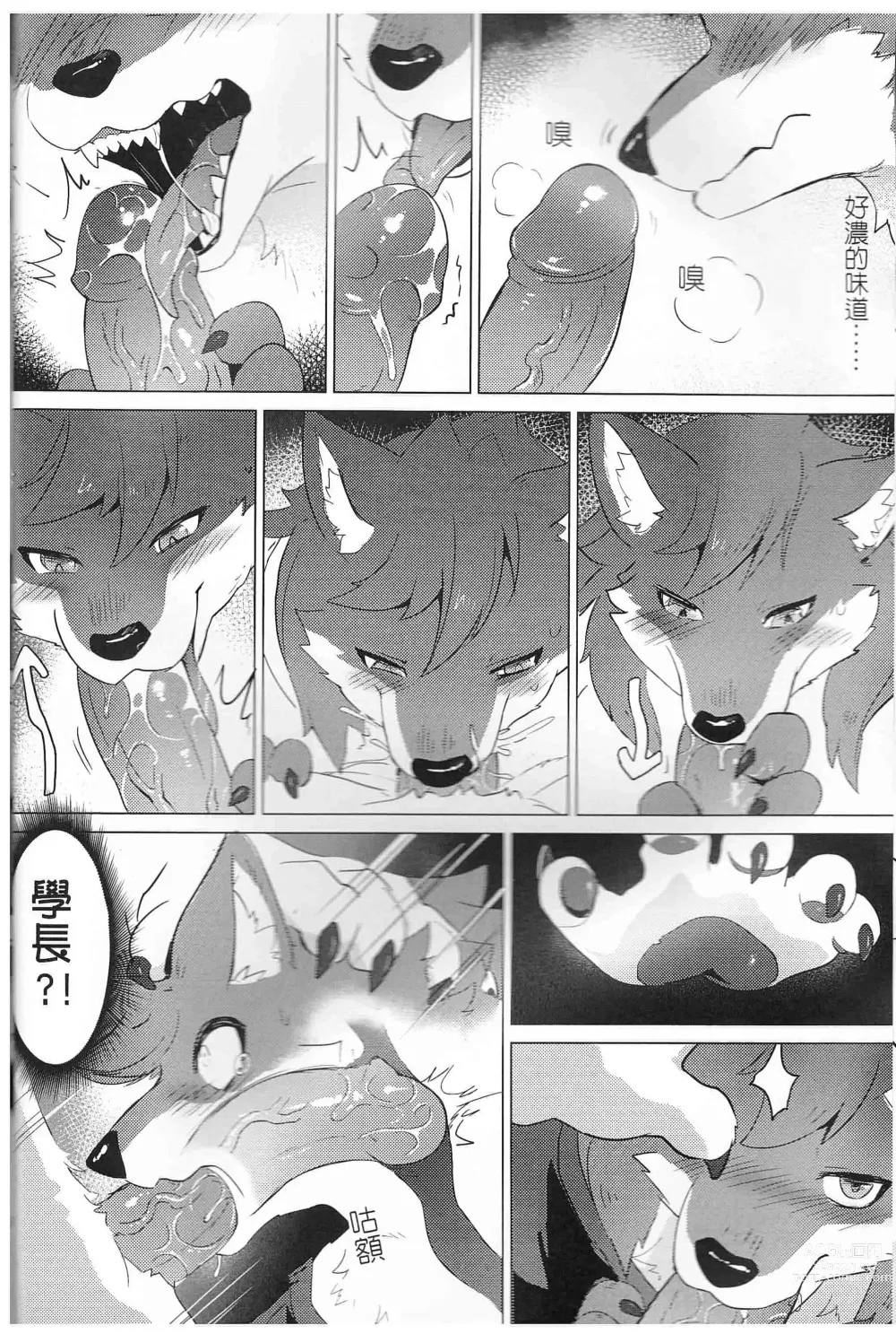 Page 10 of doujinshi 熊前辈的周末特训2