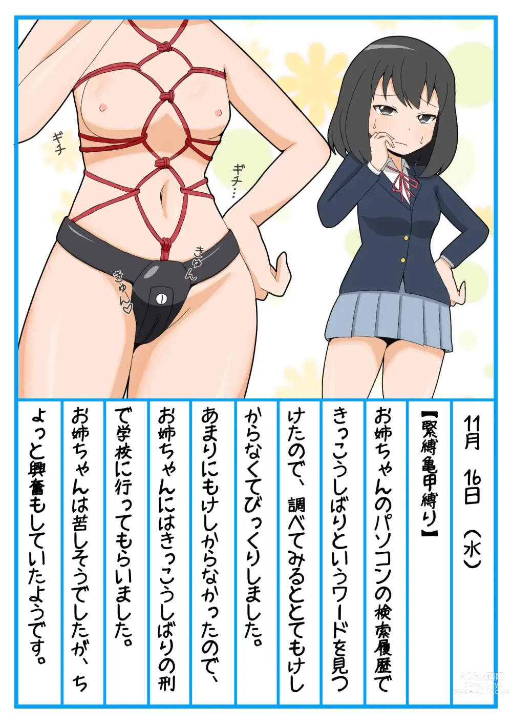 Page 12 of doujinshi Onee-chan Zecchou Kanri Dorei Choukyou Nikki