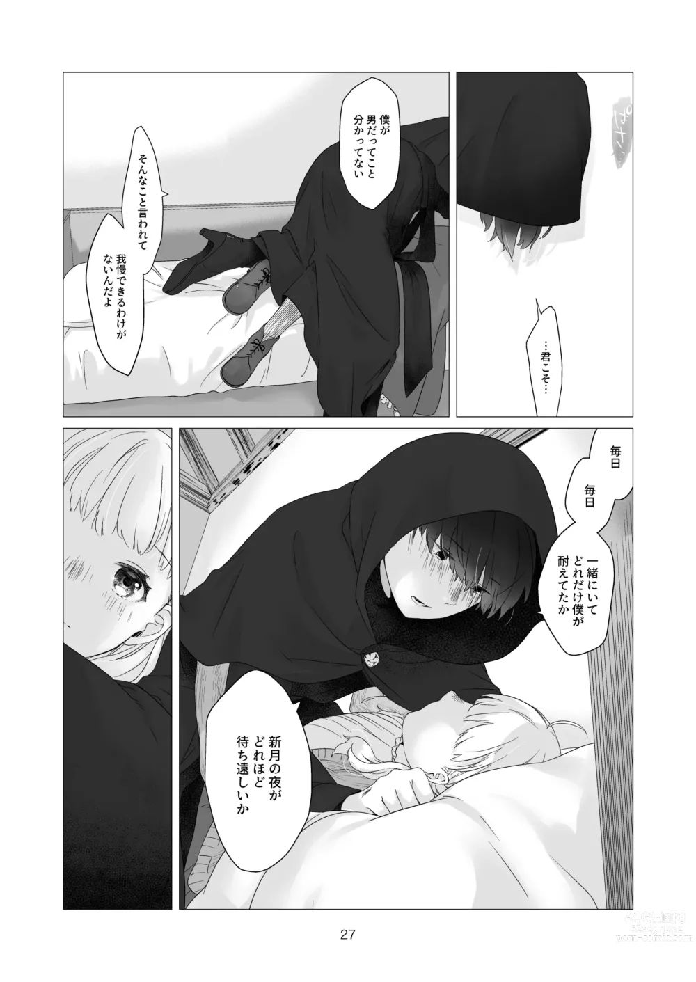 Page 27 of doujinshi Minarai Mahoutsukai-kun no Tsuki no Yoru - The Apprentice Wizard is on the moonlit night.