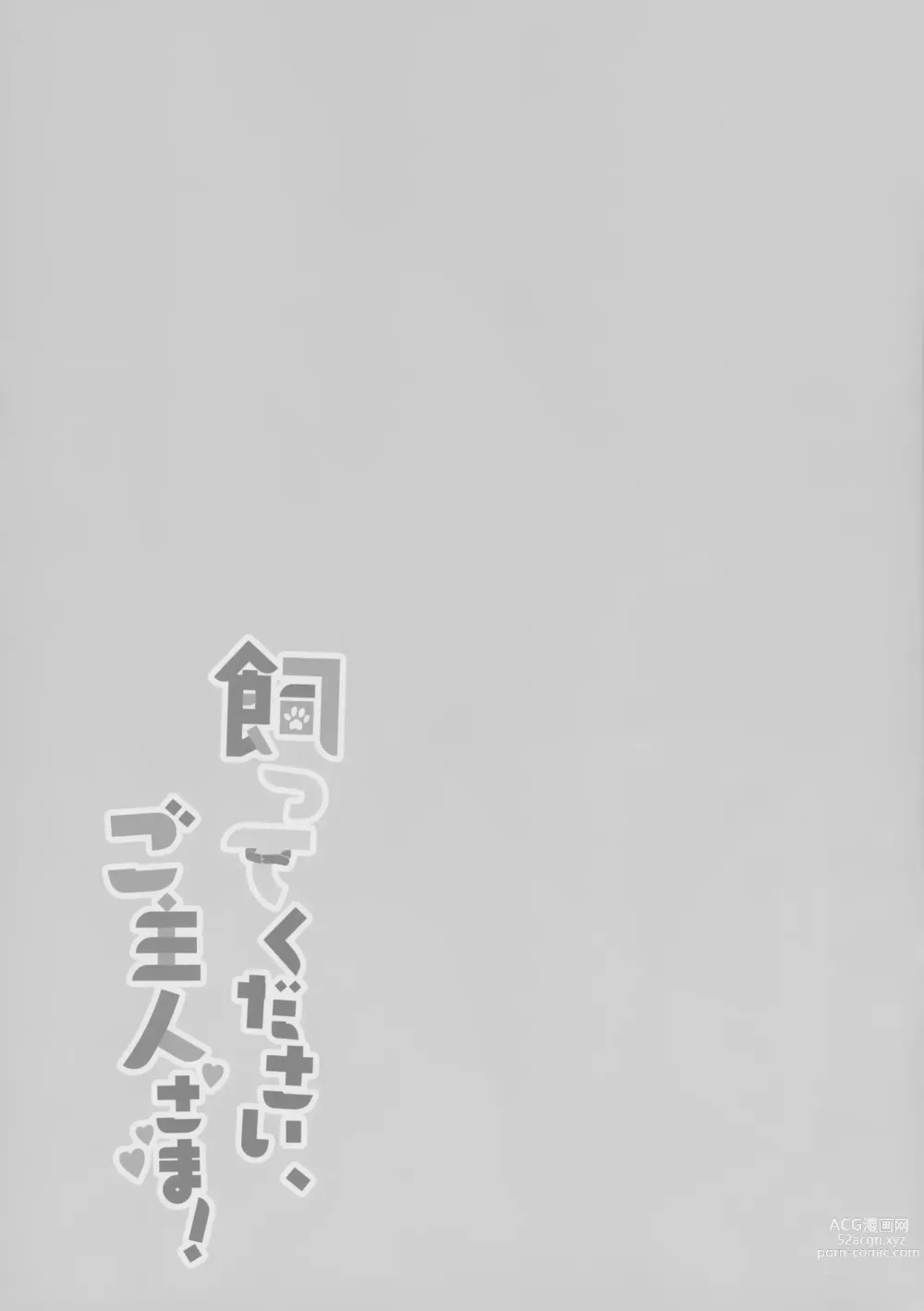 Page 19 of doujinshi Katte Kudasai, Goshujin-sama!