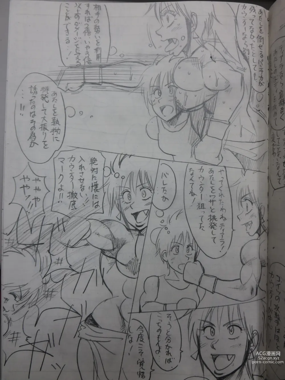 Page 17 of doujinshi Tiara VS Lamy