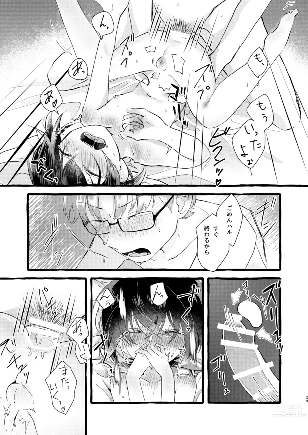 Page 28 of doujinshi Ichiban ni Naritakute