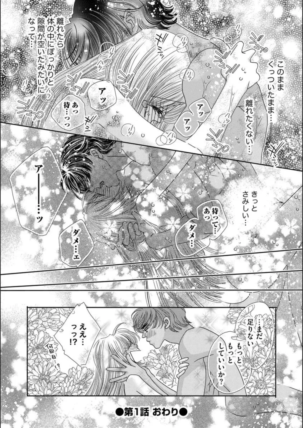 Page 28 of manga Ore-sama Seek no Hanayome Dorei 1